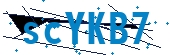 recaptcha