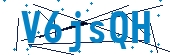 recaptcha